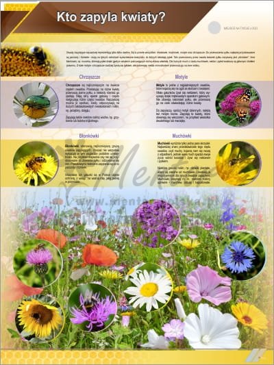 Tablica edukacyjna pszczelarska "Kto zapyla kwiaty? - pożyteczne pszczołowate