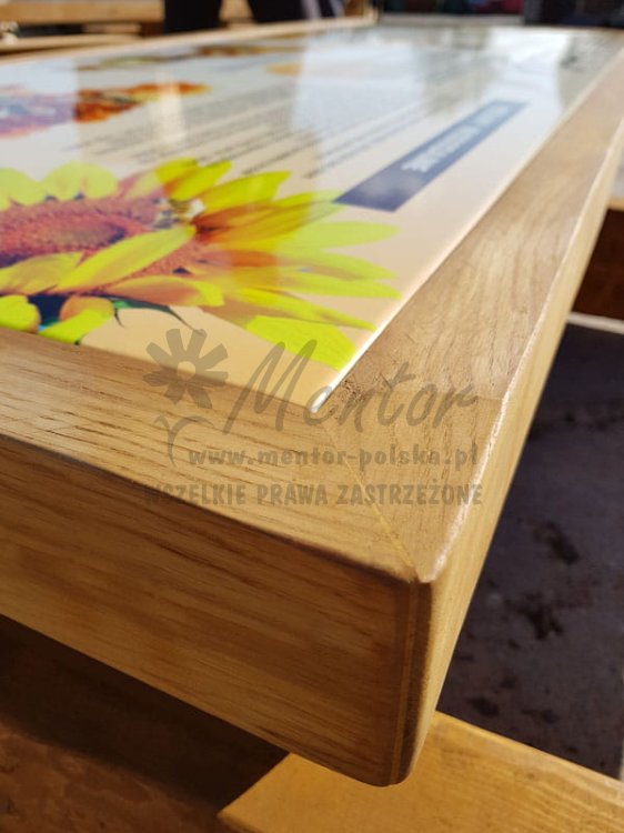 Ławostół edukacyjny