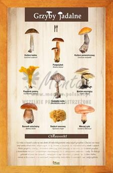 Tablica "Grzyby jadalne" w oprawie drewnianej, kolor pinia