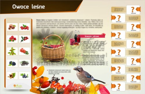 Tablica magnetyczna "Owoce leśne"