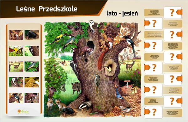 Tablica magnetyczna "Leśne Przedszkole - lato - jesień"