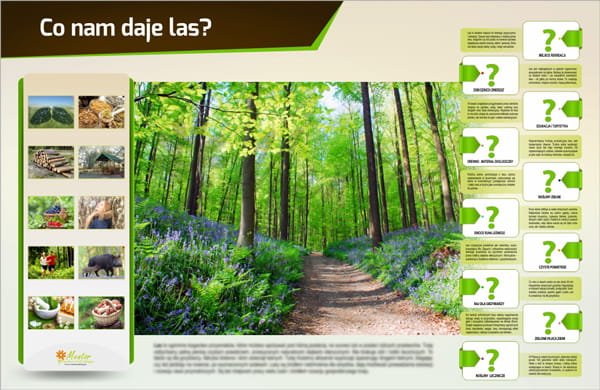 Tablica magnetyczna - Co nam daje las?