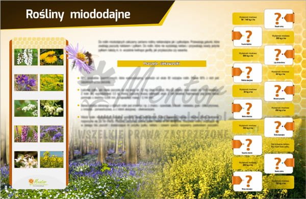 Tablica magnetyczna - Rośliny miododajne