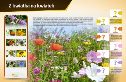 Tablica magnetyczna - Z kwiatka na kwiatek