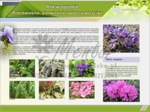 Tablica edukacyjna "Rok w ogrodzie - wiosna"