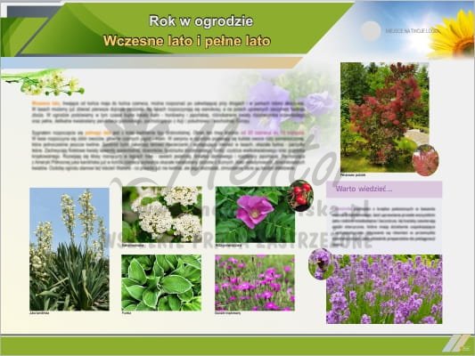 Tablica edukacyjna "Rok w ogrodzie - lato"
