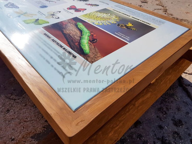 Ławostół edukacyjny