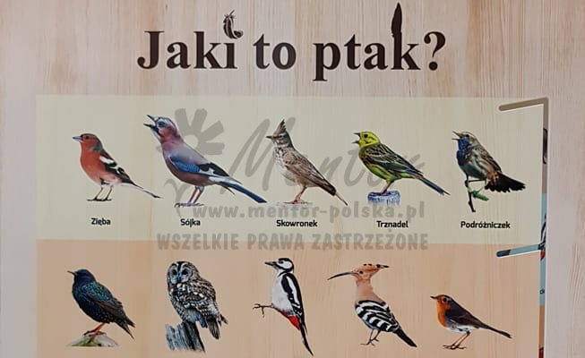 "Jaki to ptak? II" - Labirynt Natury