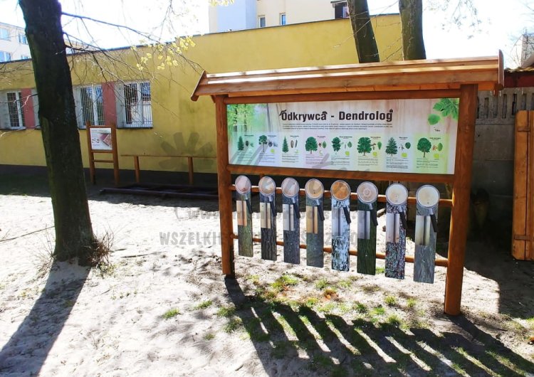 odkrywca - dendrolog.jpg