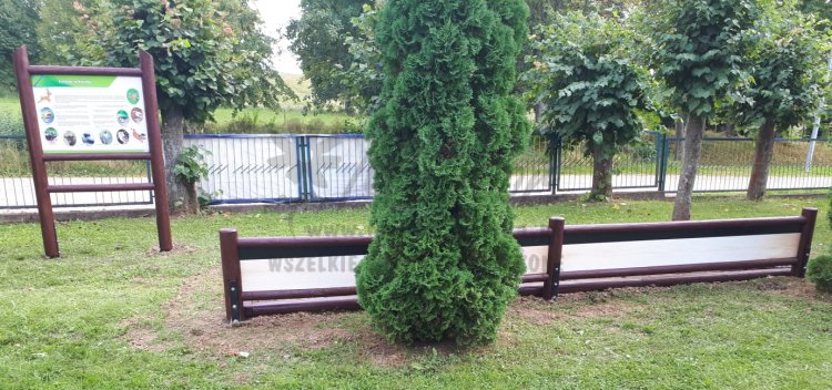 Leśne Rekordy - skok w dal