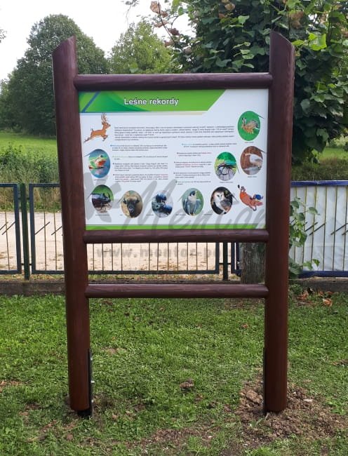 Leśne Rekordy - skocznia