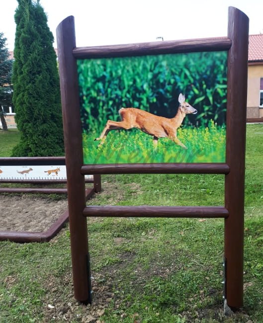 Leśne Rekordy - skocznia