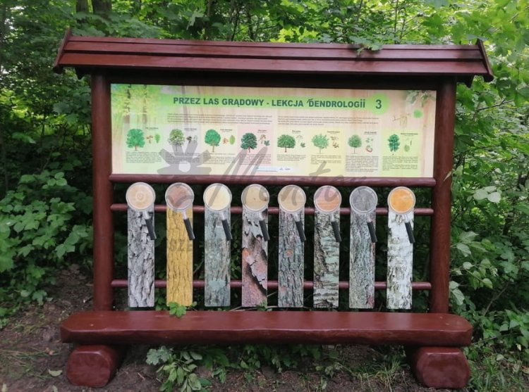 Odkrywca - Dendrolog