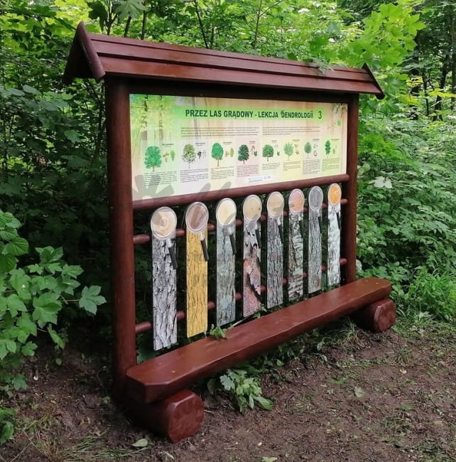 Odkrywca - Dendrolog