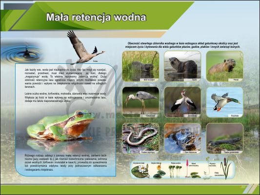TE5-16 - Mała retencja wodna