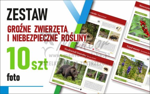 Zestaw duży Foto - GROŹNE ZWIERZĘTA I NIEBEZPIECZNE ROŚLINY - 70x50 cm