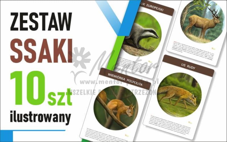 Zestaw mały Ilustrowane - SSAKI - 30x42 cm