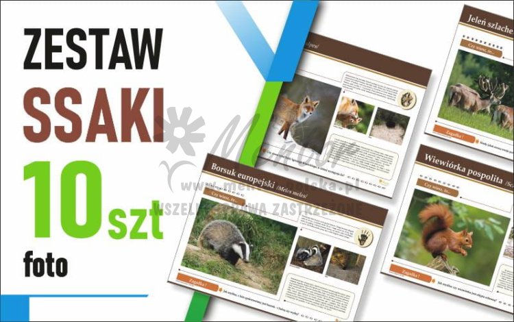 Zestaw duży Foto - SSAKI - 70x50 cm