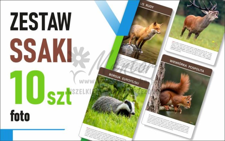 Zestaw mały Foto - SSAKI - 30x42 cm