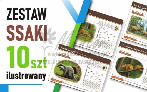 Zestaw duży Ilustrowany - SSAKI - 70x50 cm