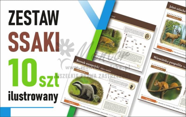 Zestaw duży Ilustrowany - SSAKI - 70x50 cm