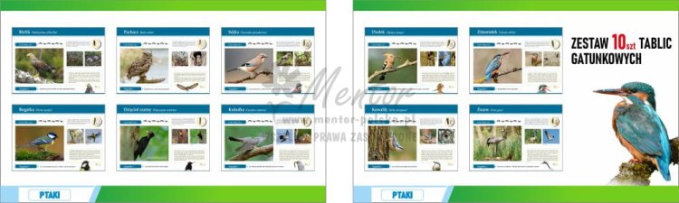 Wizualizacja ZESTAWU tablic gatunkowych PTAKI FOTO