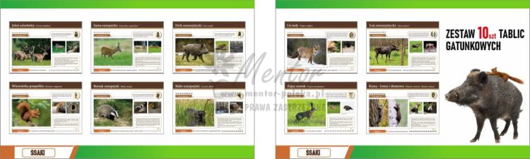 Wizualizacja ZESTAWU tablic gatunkowych SSAKI FOTO - STANDARD