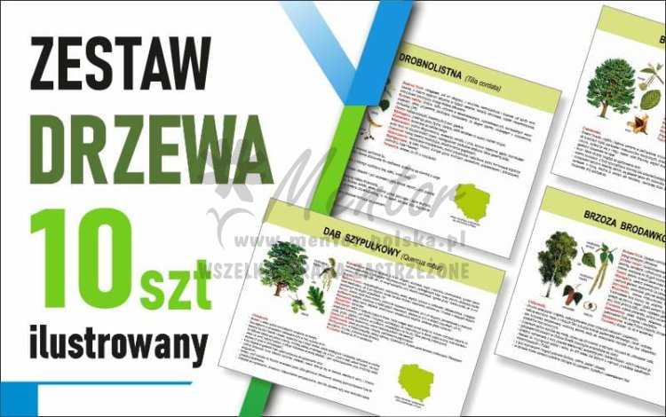 Zestaw duży Ilustrowane - DRZEWA - 70x50 cm