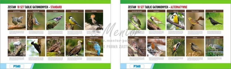 Wizualizacja ZESTAWÓW tablic gatunkowych - FOTO - standard+ alternatywny