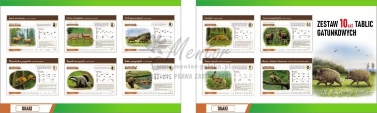 wizualizacja do sklepu 1.jpg