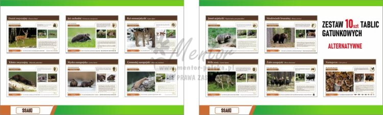 Wizualizacja ZESTAWU tablic gatunkowych SSAKI FOTO - ALTERNATYWNE