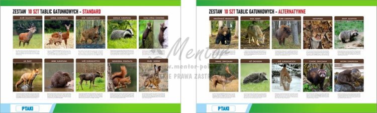 Wizualizacja ZESTAWÓW tablic gatunkowych - FOTO standard + alternatywny