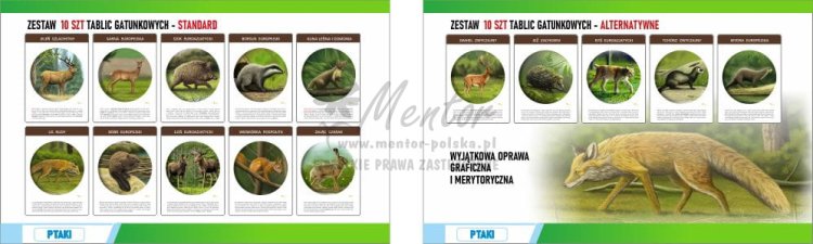 Wizualizacja ZESTAWÓW tablic gatunkowych - standard + alternatywne