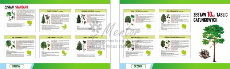 Wizualizacja ZESTAWU STANDARD - Drzewa ilustrowane