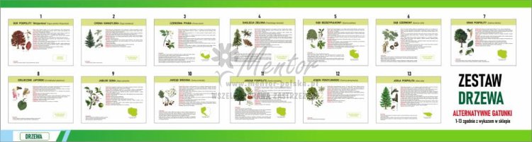 Wizualizacja tablic alternatywnych 1-13