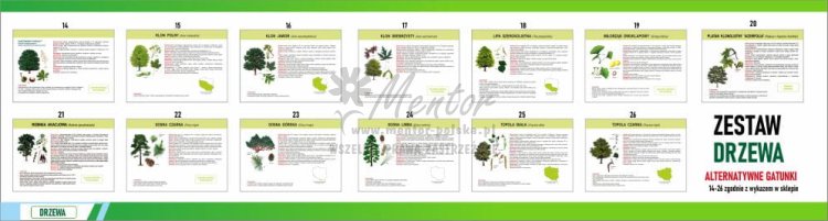 Wizualizacja tablic alternatywnych 14-26