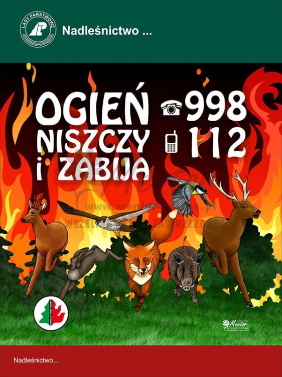 PP22 - Tablica p.poż. Ogień niszczy i zabija -pion.jpg