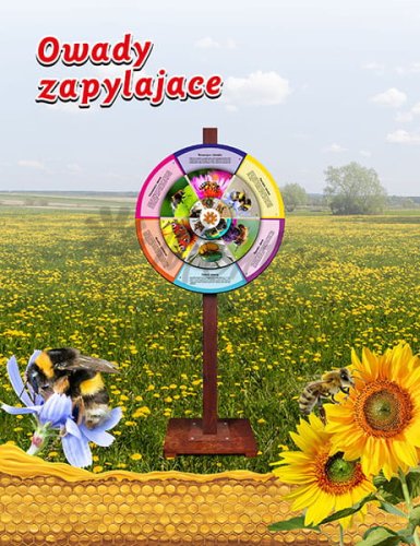 KOŁO WIEDZY - owady zapylające - WERSJA MOBILNA