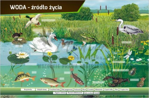 TM34 - WODA ŹRÓDŁO ŻYCIA.jpg