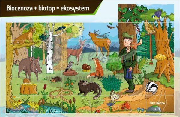 TM35- BIOCENOZA I BIOTOP do sklepu.jpg