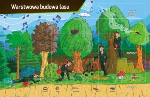 TM30 - WARSTWOWA BUDOWA LASU do sklepu.jpg