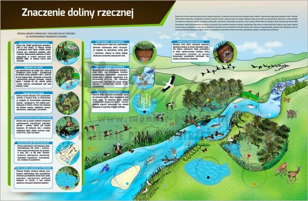 ZNACZENIE DOLINY RZECZNEJ do sklepu.jpg