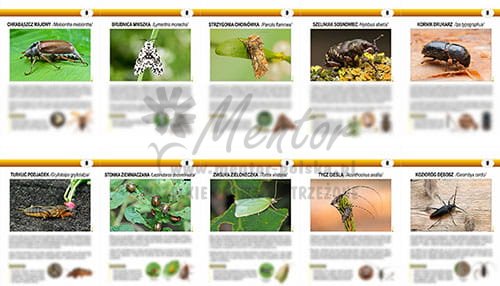 ZTW07 - Teczki Wiedzy  - OWADY SZKODLIWE