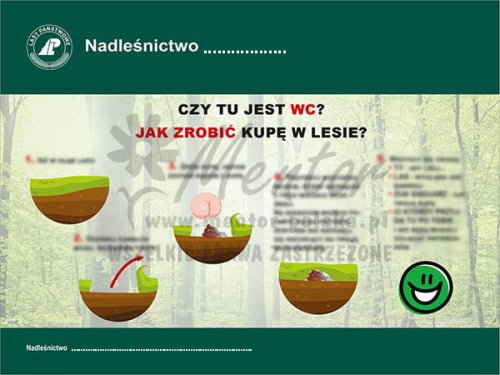 Jak zrobić kupę w lesie sklep.jpg