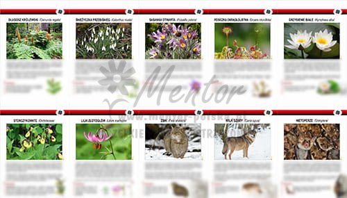 Teczka wiedzy - Chronione