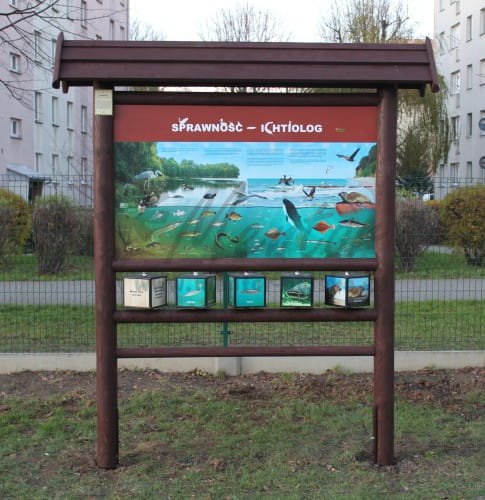 Sprawność - Ichtiolog w terenie