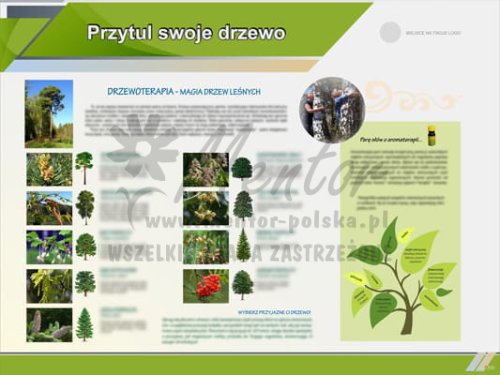 Tablica edukacyjna - Przytul swoje drzewo.jpg