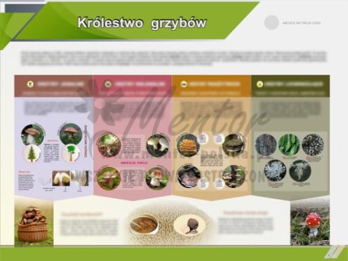 Tablica edukacyjna - Królestwo grzybów