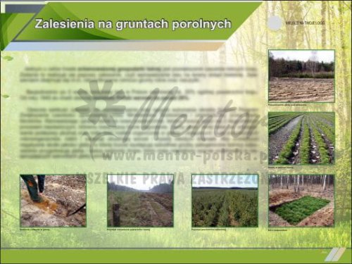 Zalesienia na gruntach porolnych.jpg
