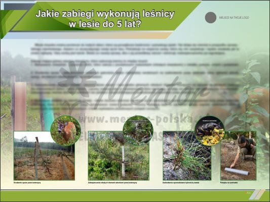 Jakie zabiegi wykonują leśnicy do 5 lat.jpg